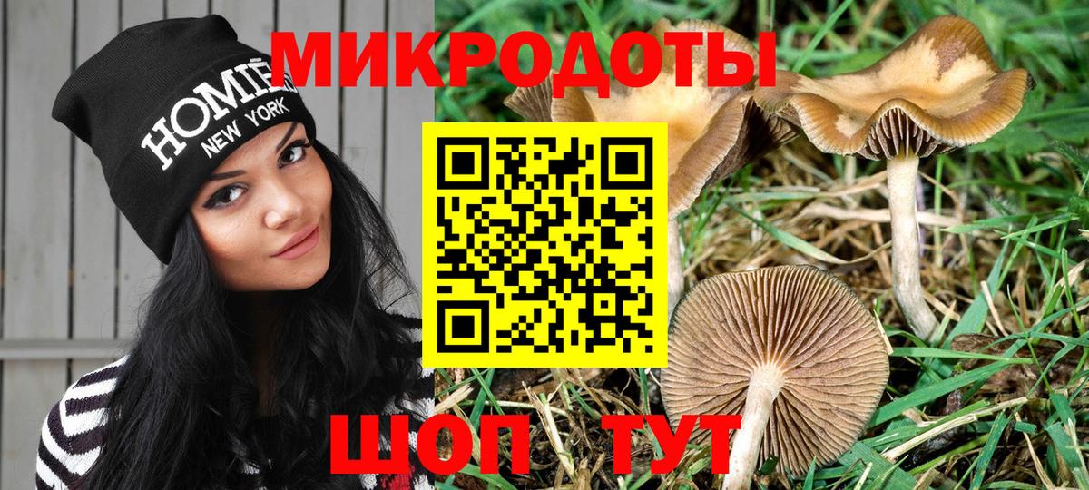 Галлюциногенные грибы мухоморы  Вход с VPN  Псилоцибиновые грибы прущие грибы  Старая Купавна 