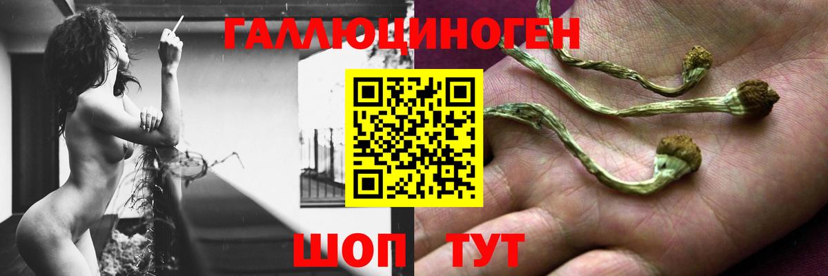 Псилоцибиновые грибы GOLDEN TEACHER Старая Купавна